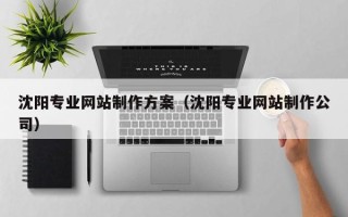 百色沈阳专业网站制作方案（沈阳专业网站制作公司）